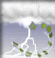 Tropical Storm Conditions